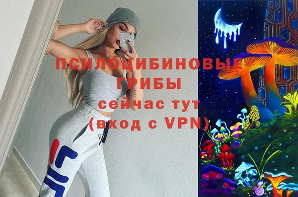 PSILOCYBIN Балабаново